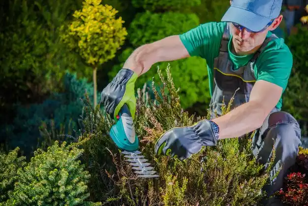 landscaping services Ville Platte